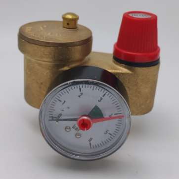 Saogalemu omiga valve